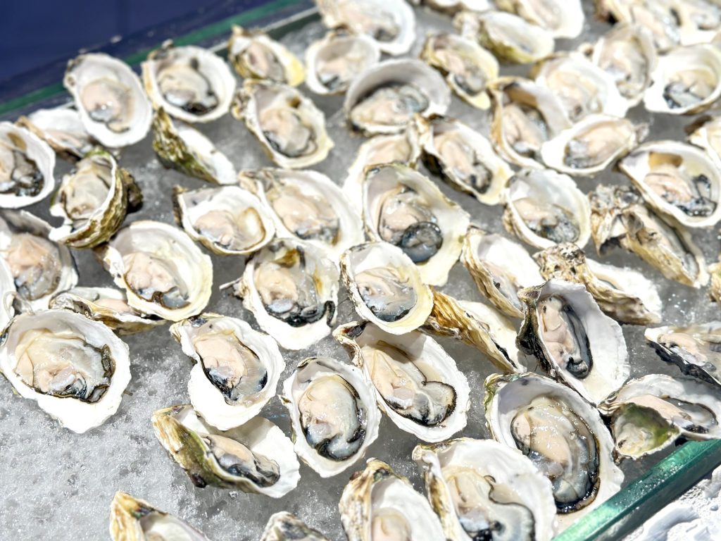 Hàu sữa giá sỉ